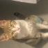 Kucak delisi bir bebek fotoğraf