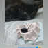 Minnoş yavru kedi sıcak aile arıyor fotoğraf