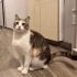 Sevgi delisi bu kıza acil yuva arıyoruz fotoğraf