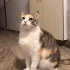 Sevgi delisi bu kıza acil yuva arıyoruz fotoğraf