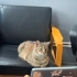 Bir prensesin kurtarılma hikayesi fotoğraf