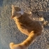 GARFİ İÇİN ACİL YUVA fotoğraf