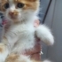 GÖREN MAŞALLAH DESİN..!! fotoğraf