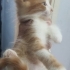 GÖREN MAŞALLAH DESİN..!! fotoğraf