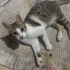 Minik bebeğe acil yuva fotoğraf