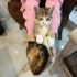 Kucak Bebişi Lisa🌸🧡 Klinikten Yuvalandırılacak fotoğraf
