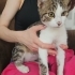 3,5 Aylık Lucy💕 Klinikten Yuvalandırılacaktır fotoğraf