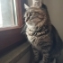 Selden Kurtardik Yuva Ariyoruz fotoğraf