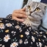 Güzelimize yuva ariyoruz fotoğraf