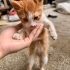 Tek başına kalan minik çocuğa yuva💛 fotoğraf