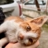 Tek başına kalan minik çocuğa yuva💛 fotoğraf