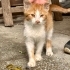 Tek başına kalan minik çocuğa yuva💛 fotoğraf