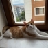5 sevencen kardeşler fotoğraf