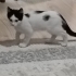 Dünya tatlısı 2 buçuk aylık fotoğraf