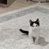 Dünya tatlısı 2 buçuk aylık fotoğraf