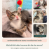 2.5 Aylık Bal gözlü miniğimiz fotoğraf