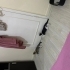 ACİL SOKAKTA YAPAMAZ TRAVMALI KEDİ fotoğraf