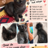 Minik panter ömürlük yuvasını arıyor fotoğraf