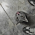 ÜCRETSİZ YUMUŞACIK CANAYAKIN BRİTİSH CİNSİ BEBEK KEDİCİK AİLESİNİ ARIYOR fotoğraf