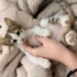 Yakışıklı minnoş fotoğraf