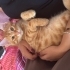 Simbaya yuva arıyoruz fotoğraf