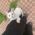 Acil korumaya alınması gerek fotoğraf