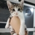 Minnacık yumuşacık puf puf bir bebiş🧿 fotoğraf