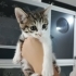 Minnacık yumuşacık puf puf bir bebiş🧿 fotoğraf