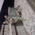 ESKİŞEHİR ACİL 3 AYLIK 4 TANE CALİCO YAVRU fotoğraf