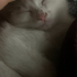 çoook uysal çok masum fotoğraf