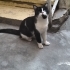 Görme engelli canımıza can olun fotoğraf