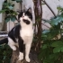 Görme engelli canımıza can olun fotoğraf