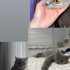Ömürlük yuva aranıyor fotoğraf