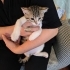 ZOE YUVA ARIYOR fotoğraf
