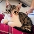 ZOE YUVA ARIYOR fotoğraf