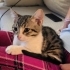 ZOE YUVA ARIYOR fotoğraf