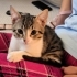 ZOE YUVA ARIYOR fotoğraf