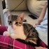 ZOE YUVA ARIYOR fotoğraf
