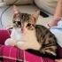 ZOE YUVA ARIYOR fotoğraf