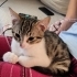 ZOE YUVA ARIYOR fotoğraf