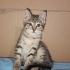 ONLARIN ŞANSI OLUR MUSUNUZ? fotoğraf