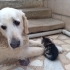 Annesiz NİLİ ,sıcak bir yuva arıyor fotoğraf