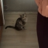 sıcak bir yuva  arıyorum fotoğraf