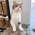 PEPE YUVASINI ARIYOR fotoğraf