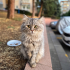 AÇIKLAMAYI OKUYUNUZ fotoğraf
