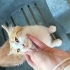 Temas bağımlılarına duyrulur :)) fotoğraf