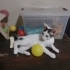 Boncuk gözlü oğlumuza yuva arıyoruz fotoğraf