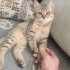 Dilber boncuk gözler fotoğraf