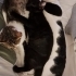 3 minik kalp, sevgi dolu yuvalarını arıyor! fotoğraf