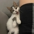 OYUNCAK GİBİ BİR BEBİŞ fotoğraf